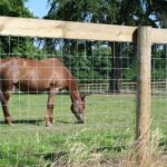 horse fence