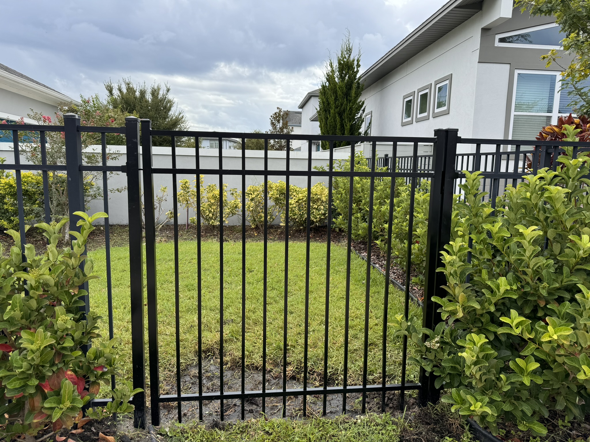 Fence Company in Lake Nona, FL 2 Aluminum Fence in Lake Nona, FL